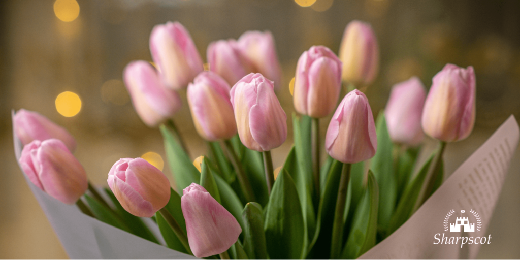 5 Shops for the Best Flower Delivery in Aberdeen Homepage