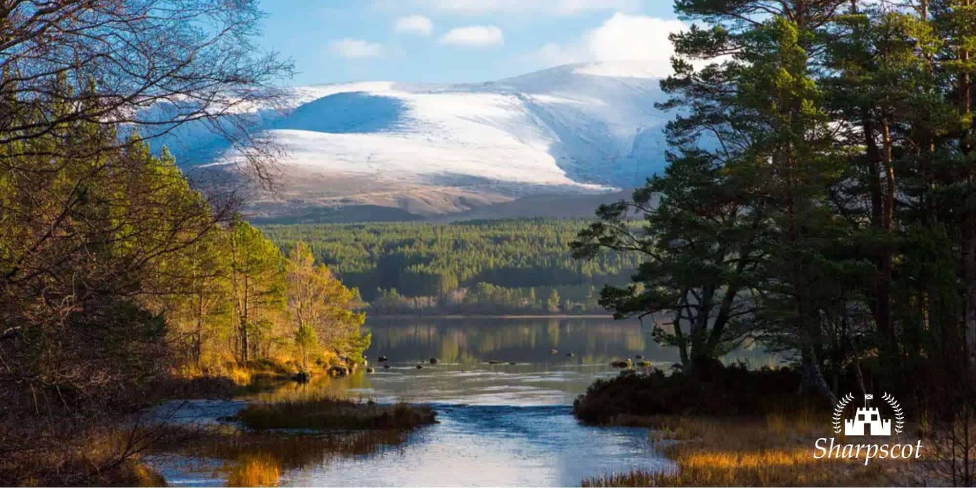Everything You Need to Know About Wild Camping at Loch Morlich