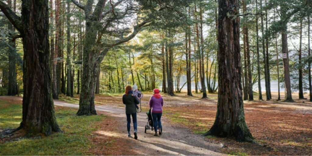 Walk the Loch Morlich Trail