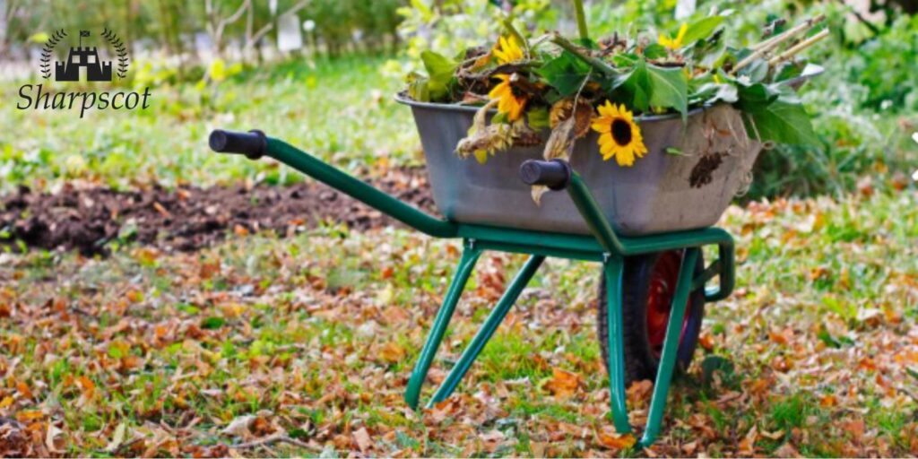 5 Best Landscaping Services In Glasgow