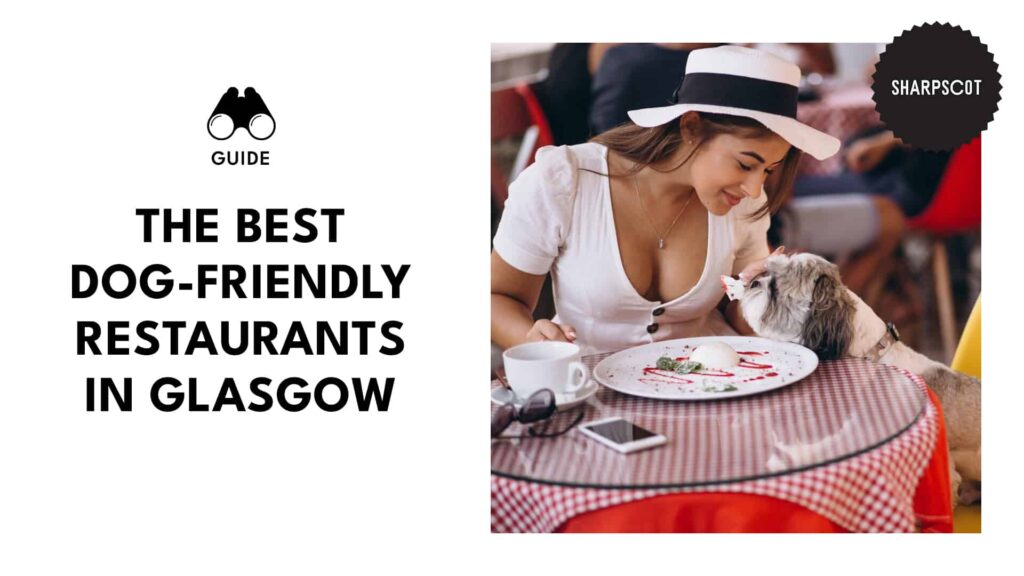 The 12 Best Dog-Friendly Restaurants in Glasgow
