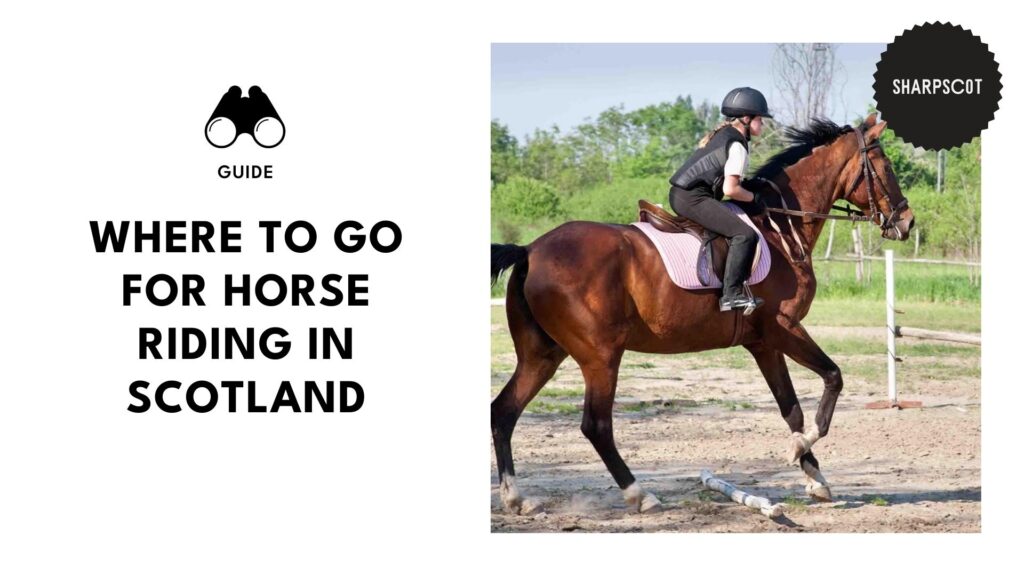horse-riding