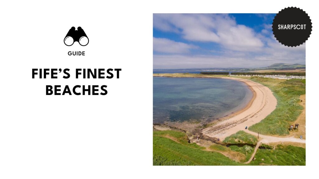 best-beaches-fife-banner