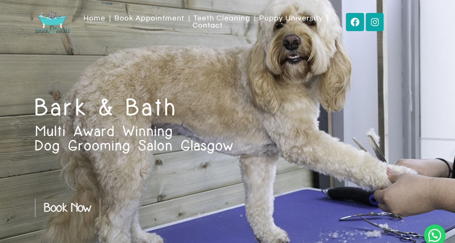 bark bath homepage