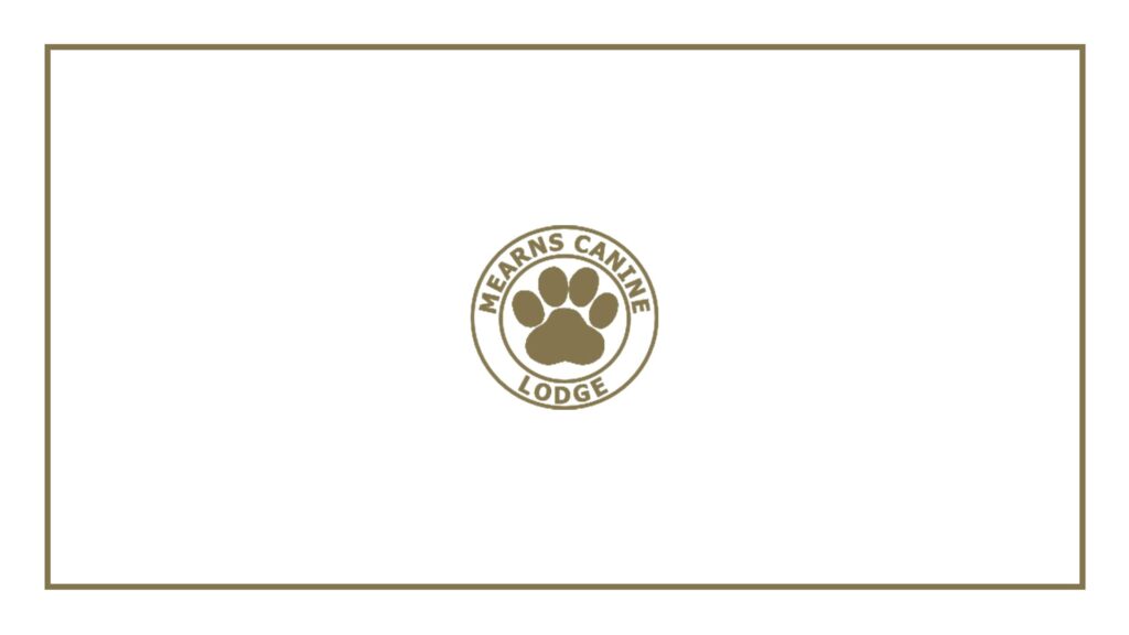 mearns-canine-lodge