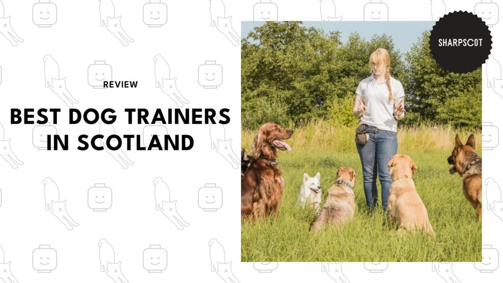 best-dog-trainers-scotland-banner
