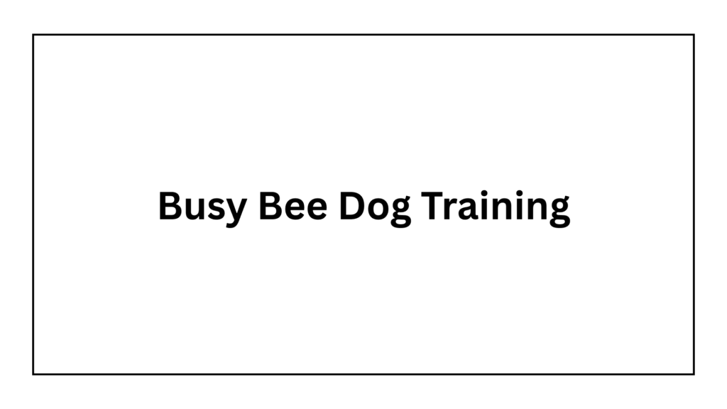 busy-bee-dog-training