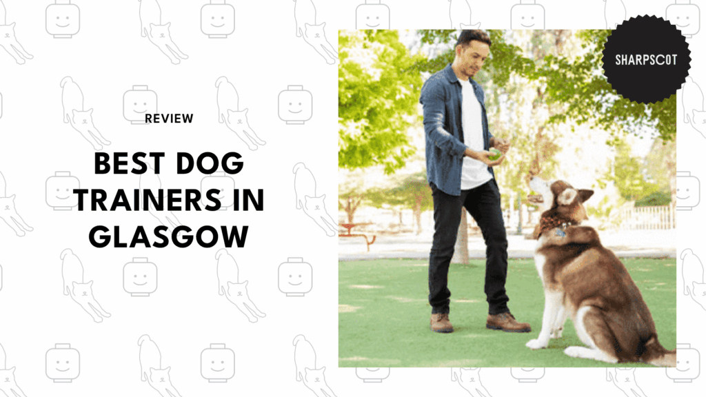 dog-trainers-in-glasgow