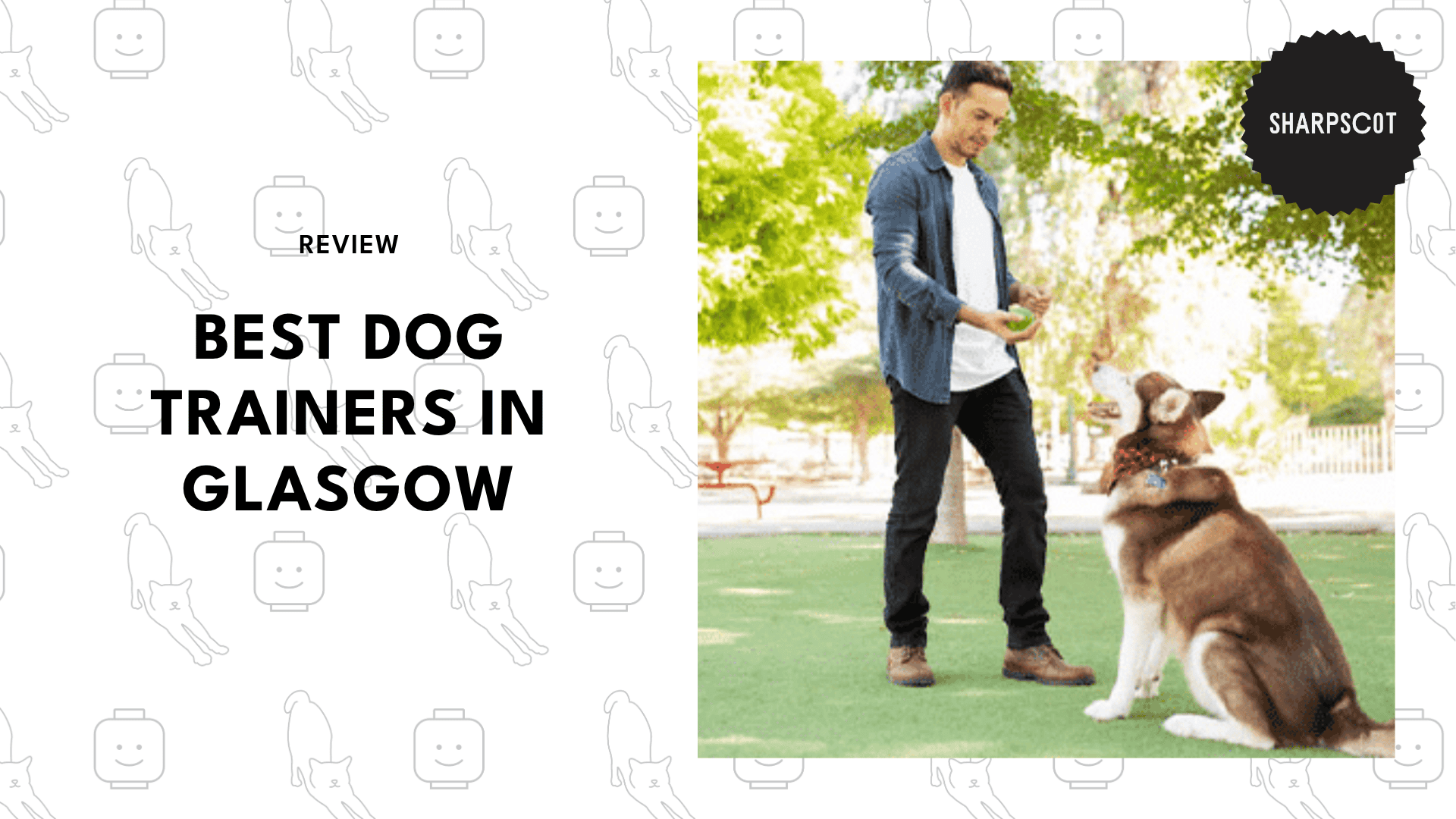 dog-trainers-in-glasgow