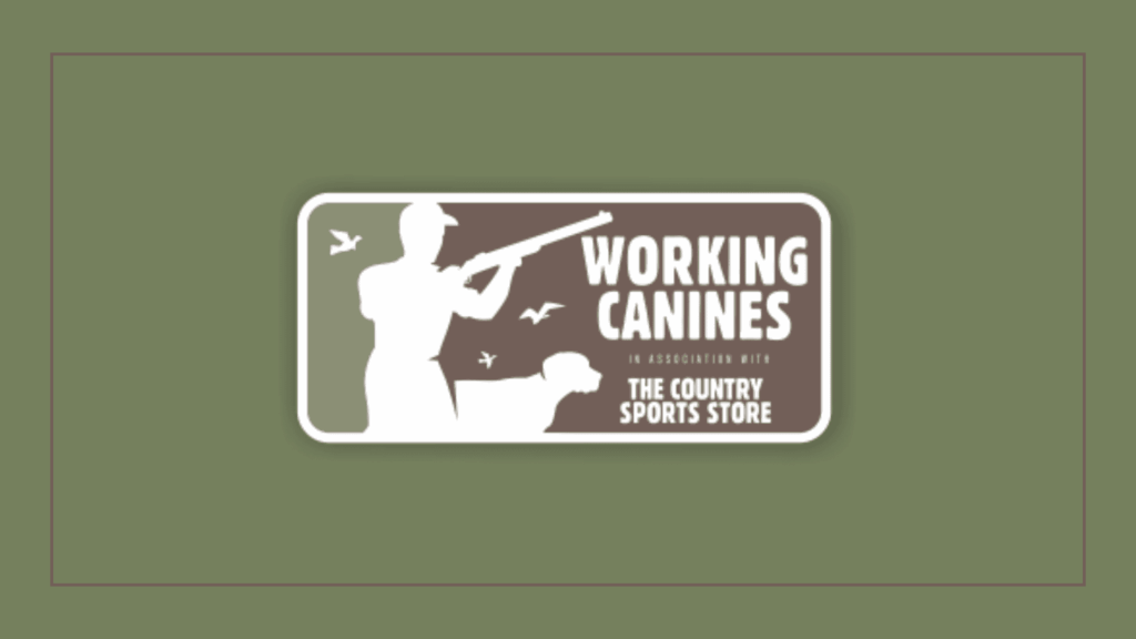 working-canines
