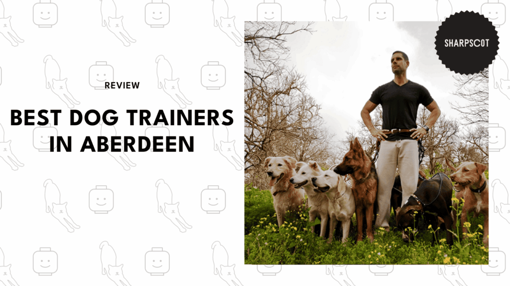dog-trainers-in-aberdeen