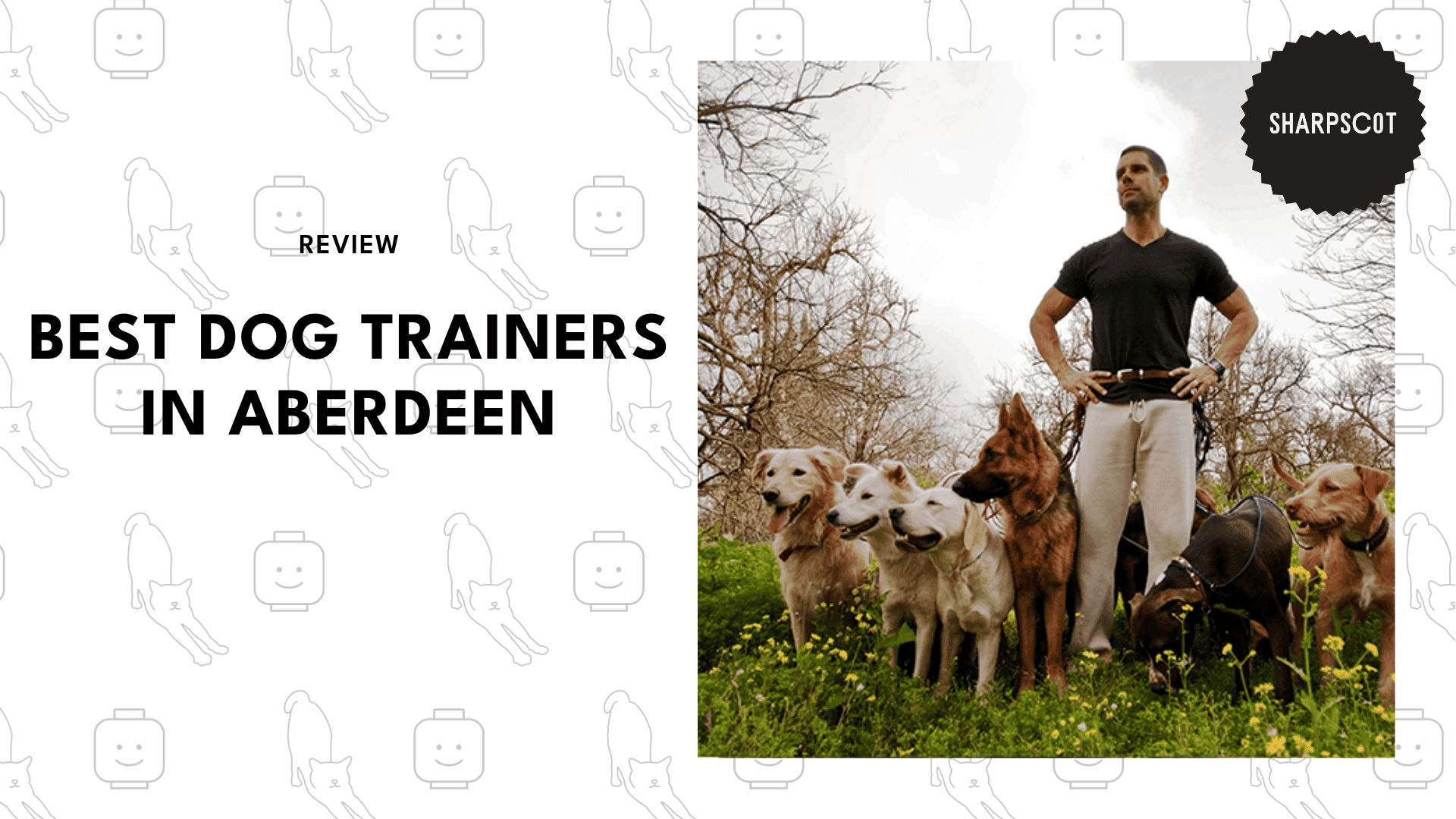 dog-trainers-in-aberdeen