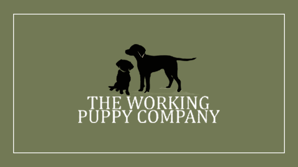 the-working-puppy-company