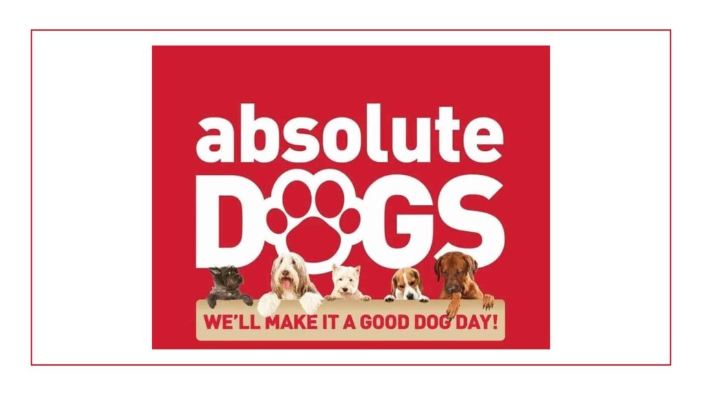 absolute-dogs