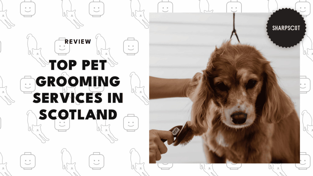 best-pet-grooming-scotland