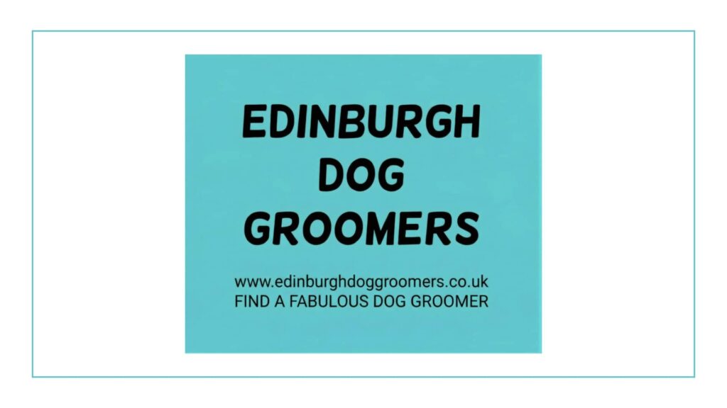 edinburgh-dog-groomers